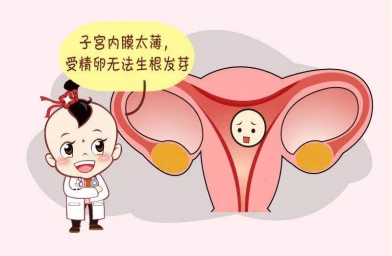 福建备孕试管婴儿知识_子宫内膜薄怎么调理